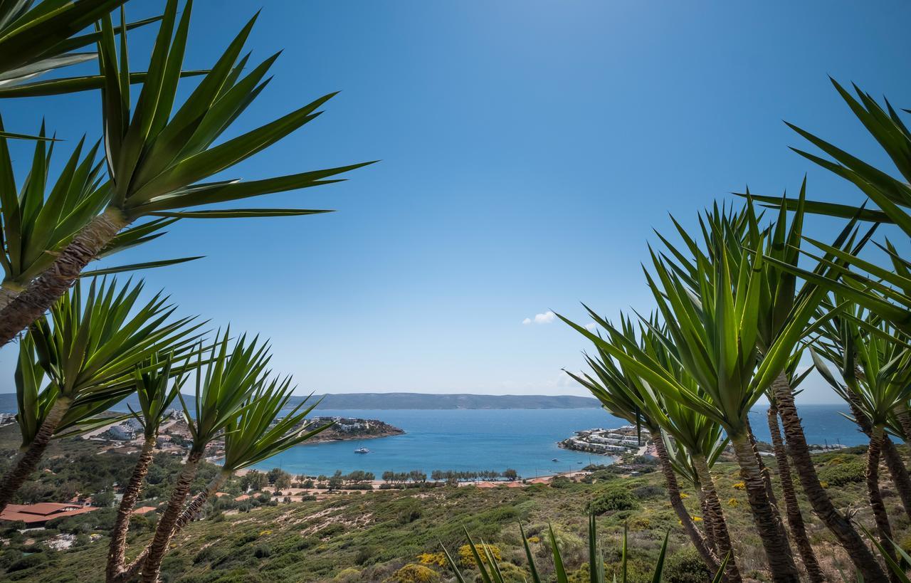 Sounio Villa Szúnio Kültér fotó